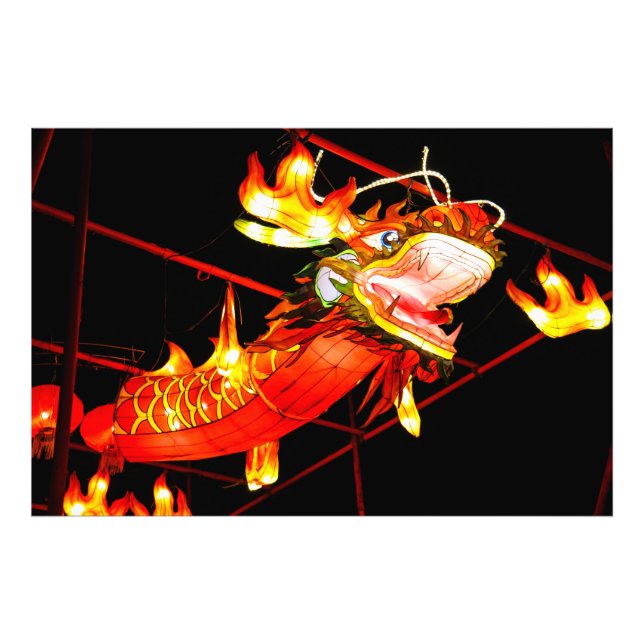 Foto Dragón de Fuego Zhulong (Frente)