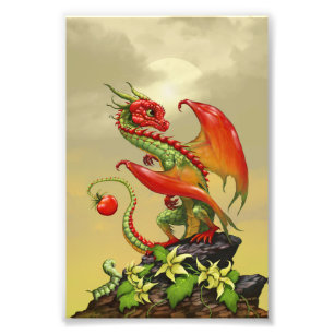 Foto Dragón de tomate 4x6 Imprimir
