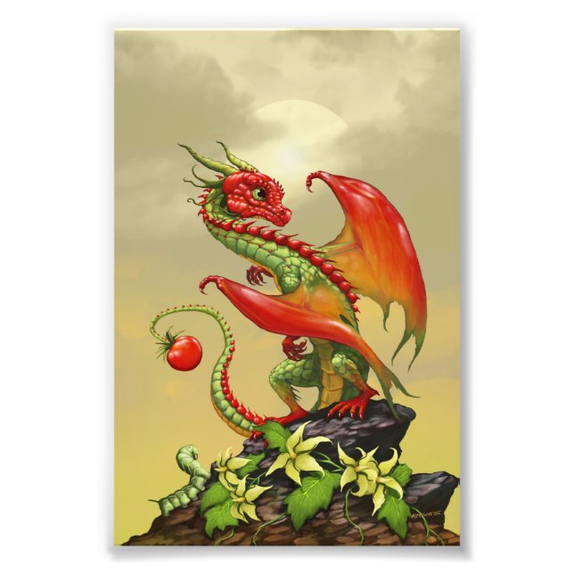 Foto Dragón de tomate 4x6 Imprimir (Frente)