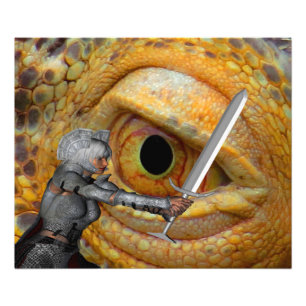 Foto Dragon Folk