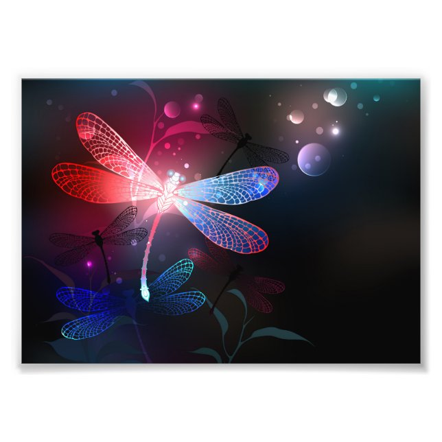 Foto Dragón rojo (Frente)