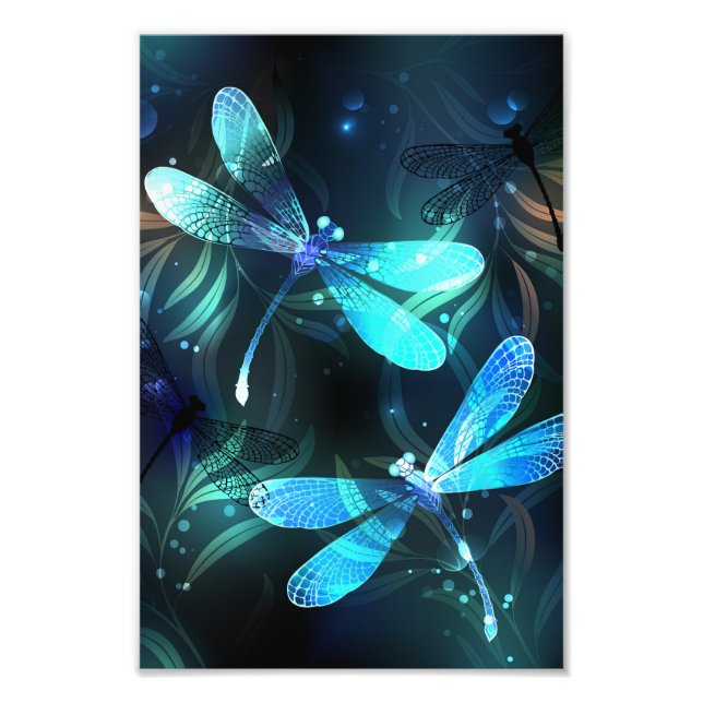 Foto Dragonflies (Frente)