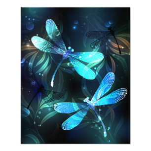 Foto Dragonflies