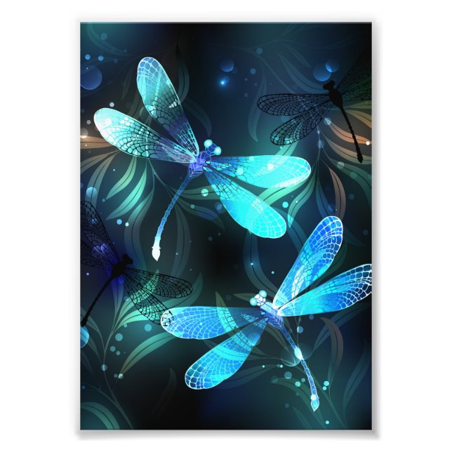 Foto Dragonflies (Frente)