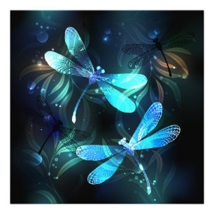 Foto Dragonflies