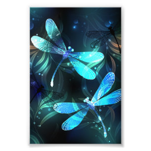 Foto Dragonflies