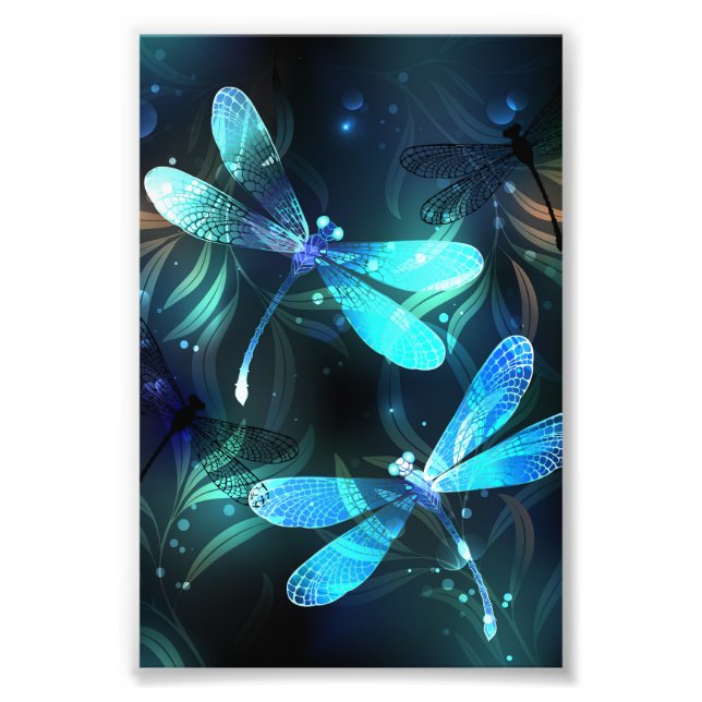 Foto Dragonflies (Frente)