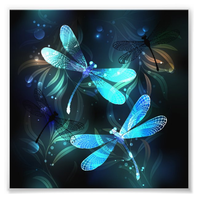 Foto Dragonflies (Frente)