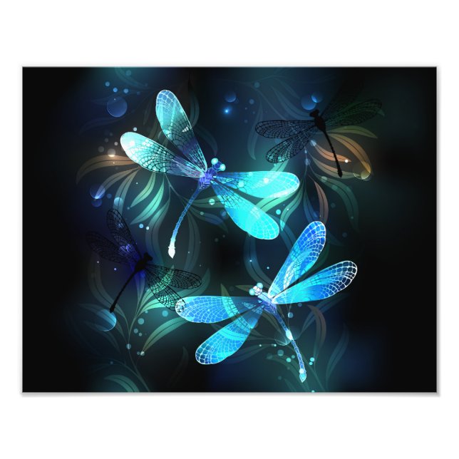 Foto Dragonflies (Frente)