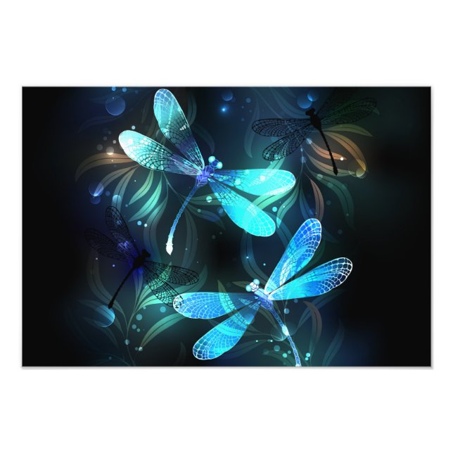 Foto Dragonflies (Frente)