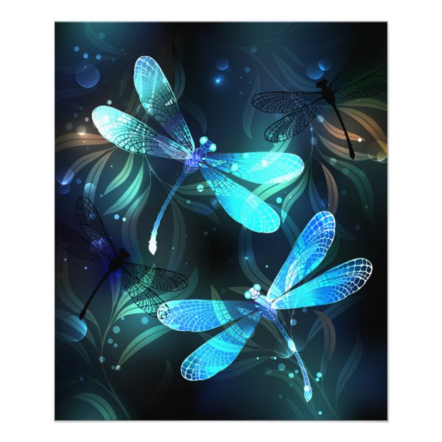 Foto Dragonflies (Frente)