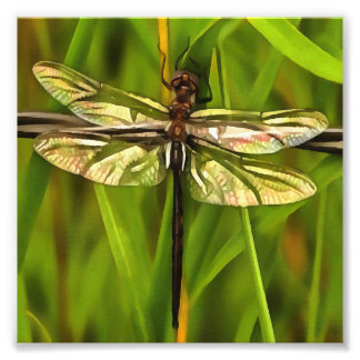 Foto Dragonfly Artificial En Marrón Y Amarillo En Verde