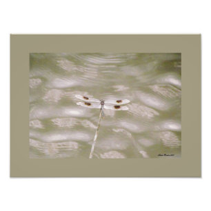 Foto Dragonfly de Linda Becker