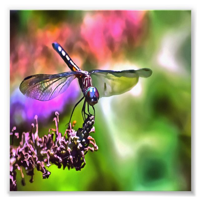 Foto Dragonfly en pintura realista verde y azul (Frente)