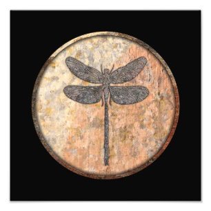 Foto Dragonfly habla de cañones, Nuevo México