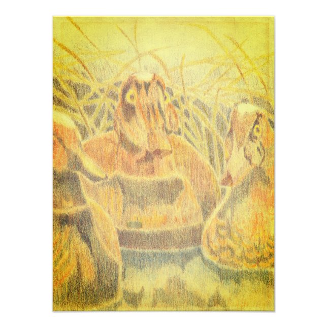 Foto Duck Decoys at Waters Edge (Frente)