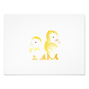 Foto Ducklings Watercolor