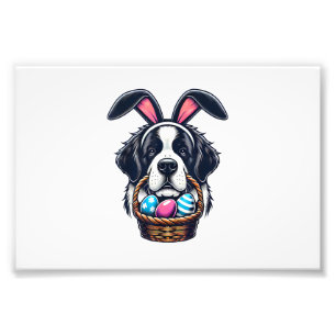 Foto Dueño de huevo de Pascua de perro San Bernardo con