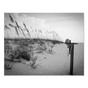 Foto Dunas de arena de la Florida