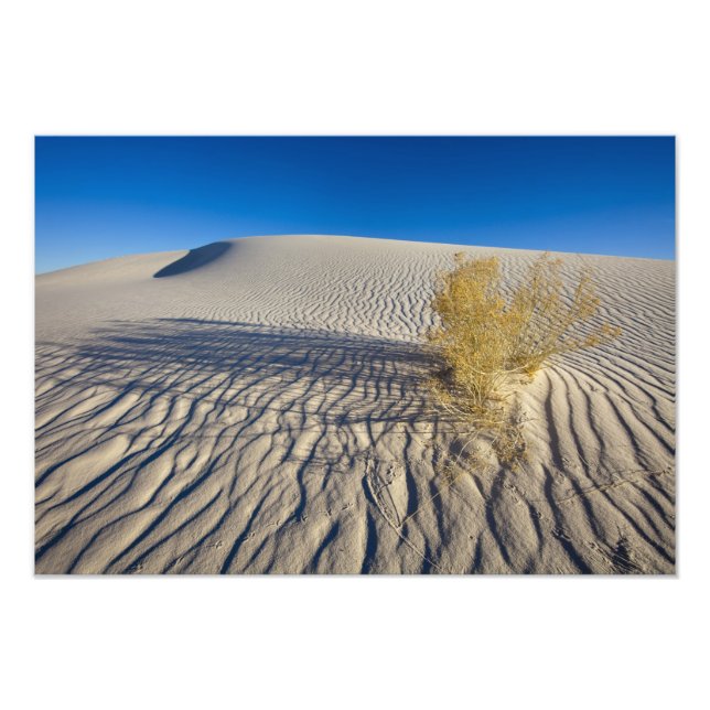 Foto Dunas de arena en el Monumento Nacional White Sand (Frente)