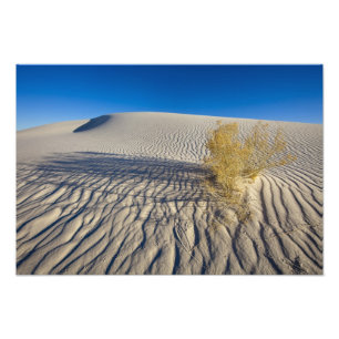 Foto Dunas de arena en Monumento Nacional de Arenas Bla