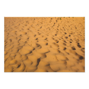 Foto Dunas de arena en Pictured Rocks NL, Michigan