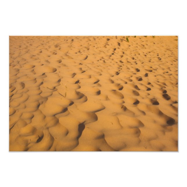 Foto Dunas de arena en Pictured Rocks NL, Michigan (Frente)