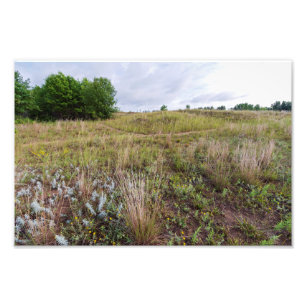 Foto dunas de nubes grises paisaje de pradera