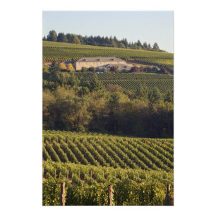 Foto Edificio de cemento de la cumbre del tiro con arco