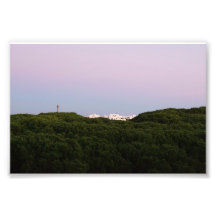 Edificios blancos asomando sobre pinos Portugal