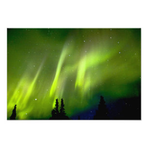 Foto EE. UU., Alaska, Chena Hot Springs. Aurora 3