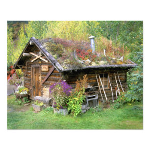 Foto EE.UU., Alaska, Parque Nacional Denali, Kantishna.