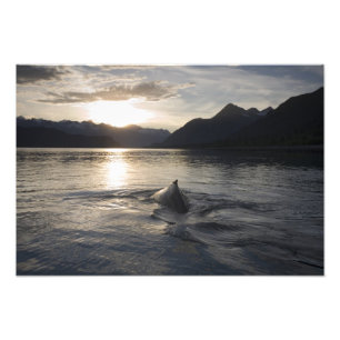 Foto EE. UU., Alaska, Parque Nacional Glacier Bay,