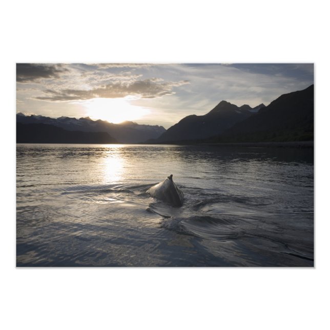 Foto EE. UU., Alaska, Parque Nacional Glacier Bay, (Frente)
