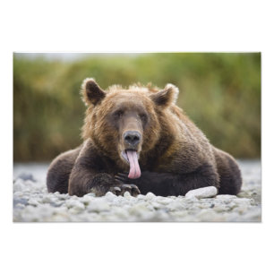 Foto EE. UU., Alaska, Parque Nacional Katmai, Bahía Kuk