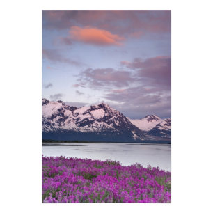 Foto EE. UU., Alaska, Valle del río Alsek. Vista de Als