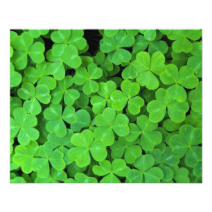 Foto EE.UU., California, Jedediah Smith Rewood SP.