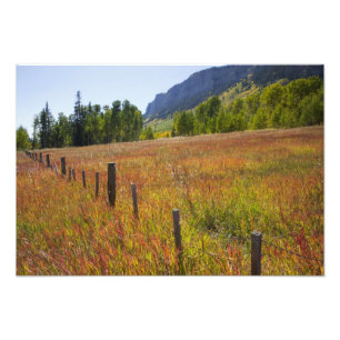 Foto EE. UU., Colorado, Bosque Nacional San Juan, a lo