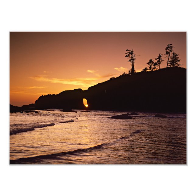 Foto EE. UU., Estado de Washington, Parque Nacional Olí (Frente)
