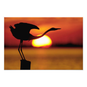 Foto EE. UU., Florida, San Petersburgo, Fort De Soto