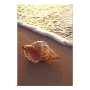 Foto EE. UU., Hawái, Maui, Kihei, Luz de la tarde en
