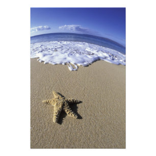 Foto EE. UU., Hawái, Maui, Makena Beach, Estrella de ma