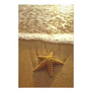 Foto EE. UU., Hawái, Maui, Maui, Kihei, Estrella de mar