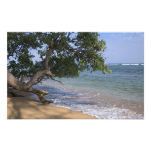 Foto EE.UU., Hawaii, Kauai, paisaje de playa. RF)