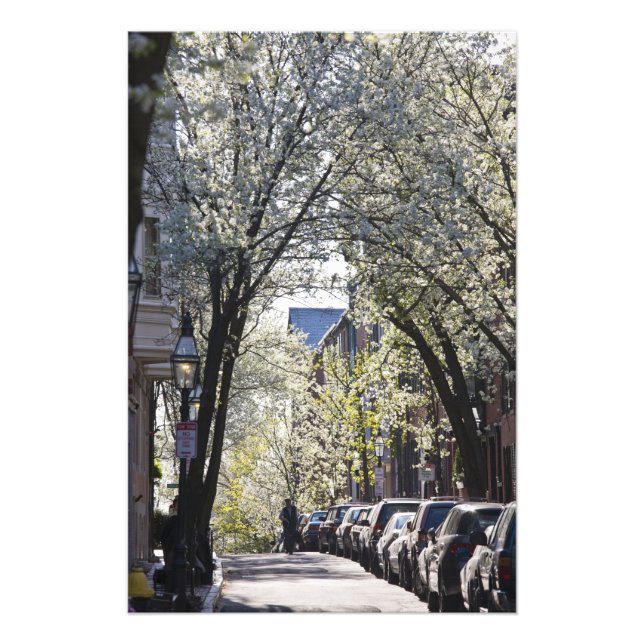 Foto EE.UU., Massachusetts, Boston, Beacon Hill. (Frente)