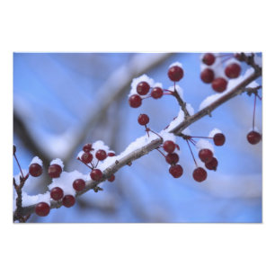 Foto EE. UU., Nueva Inglaterra, Massachusetts, Reading,
