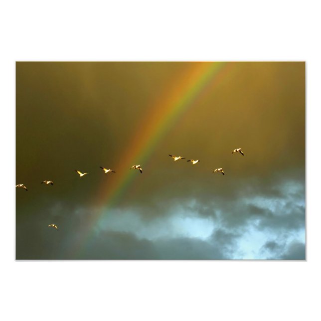 Foto EE. UU., Nuevo México, Bosque del Apache Nacional  (Frente)