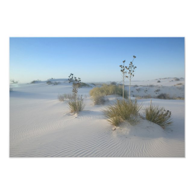 Foto EE. UU., Nuevo México, White Sands National 2 (Frente)