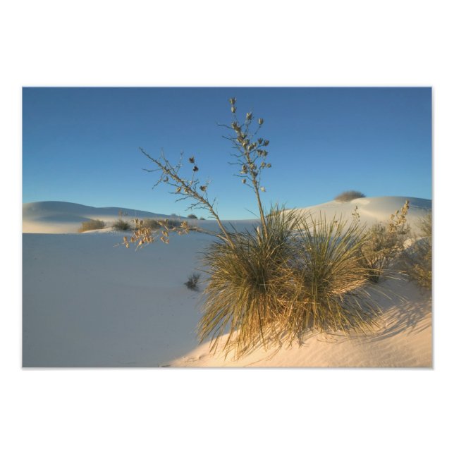 Foto EE. UU., Nuevo México, White Sands National 3 (Frente)