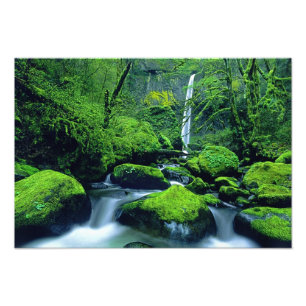 Foto EE. UU., Oregón, Columbia River Gorge National 3
